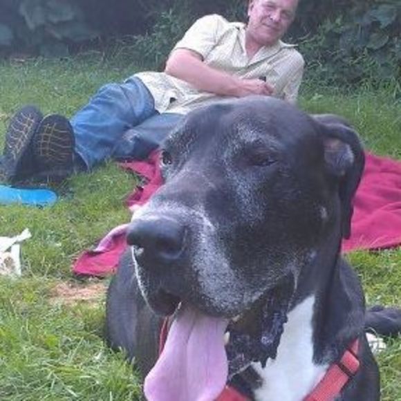 Meet your Posher, Joseph - Picture 1 of 1